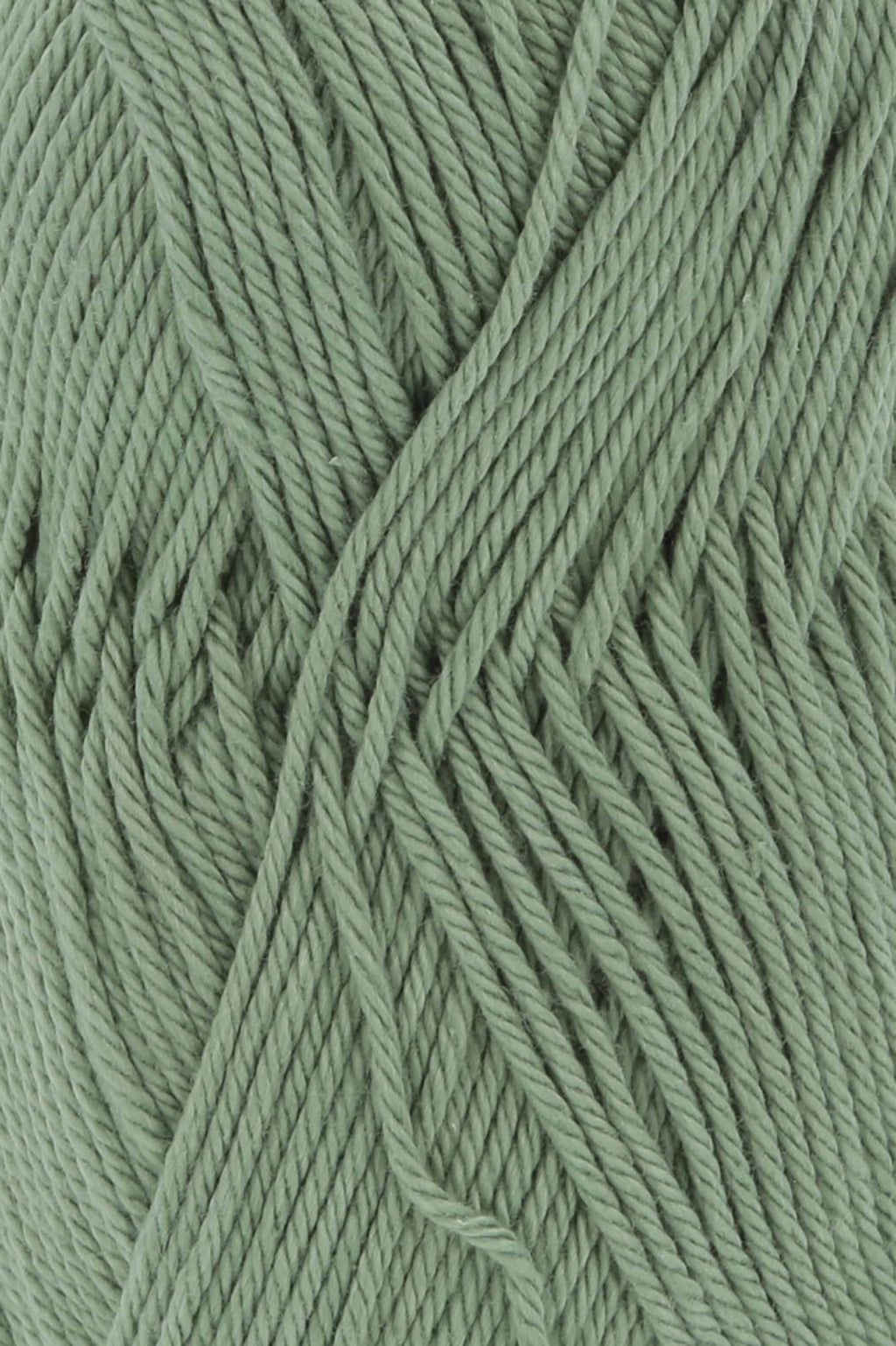 QUATTRO, LANGYARNS