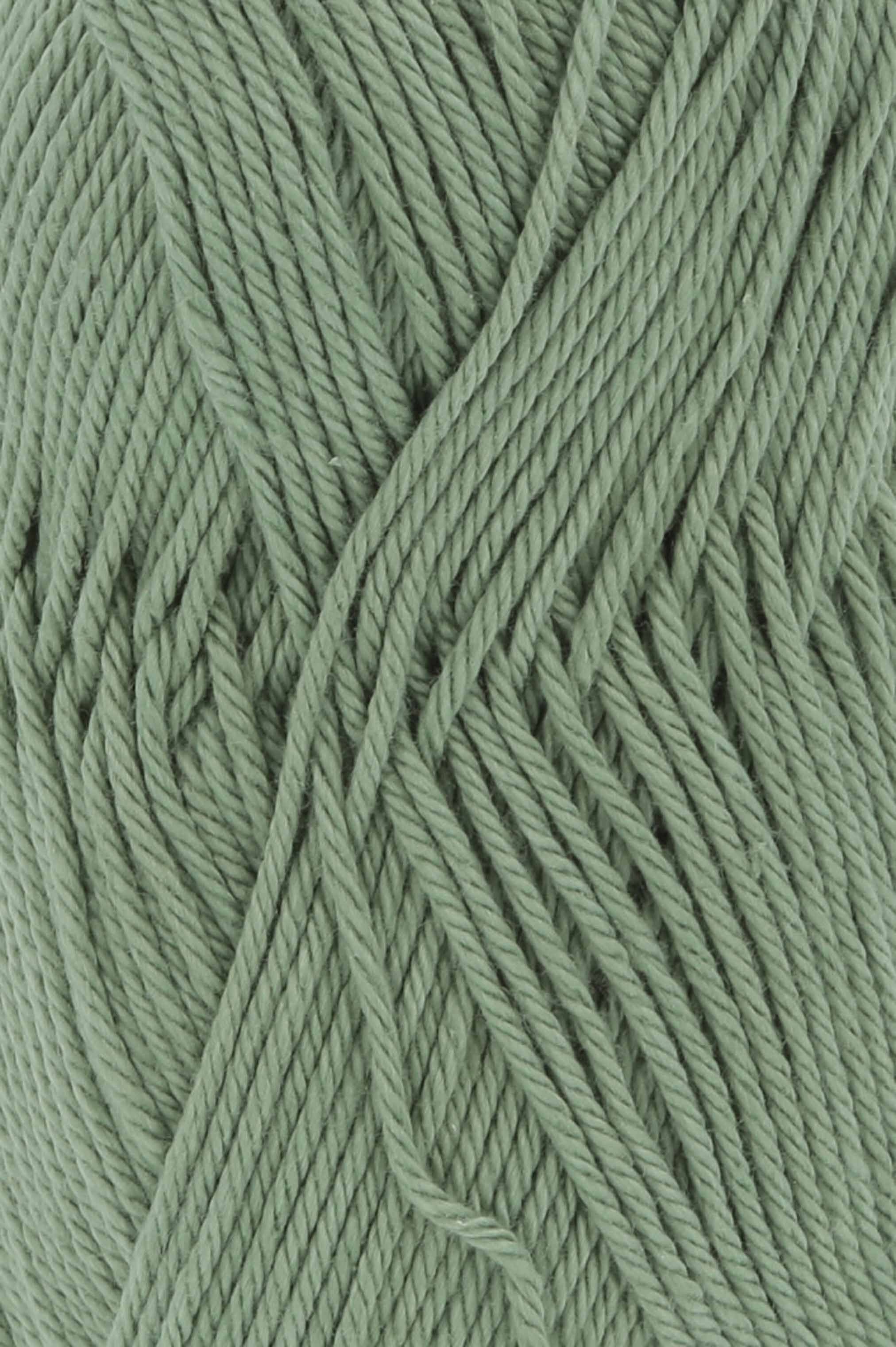QUATTRO, LANGYARNS