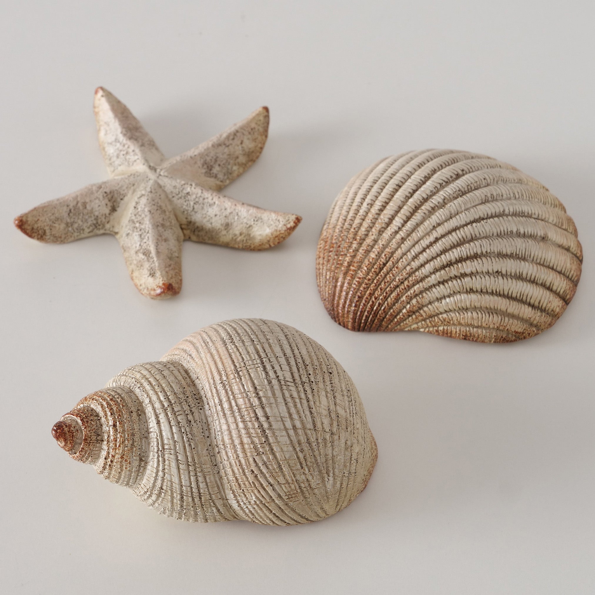 Dekoaufsteller Bigo – Maritime Deko Muschel & Seestern