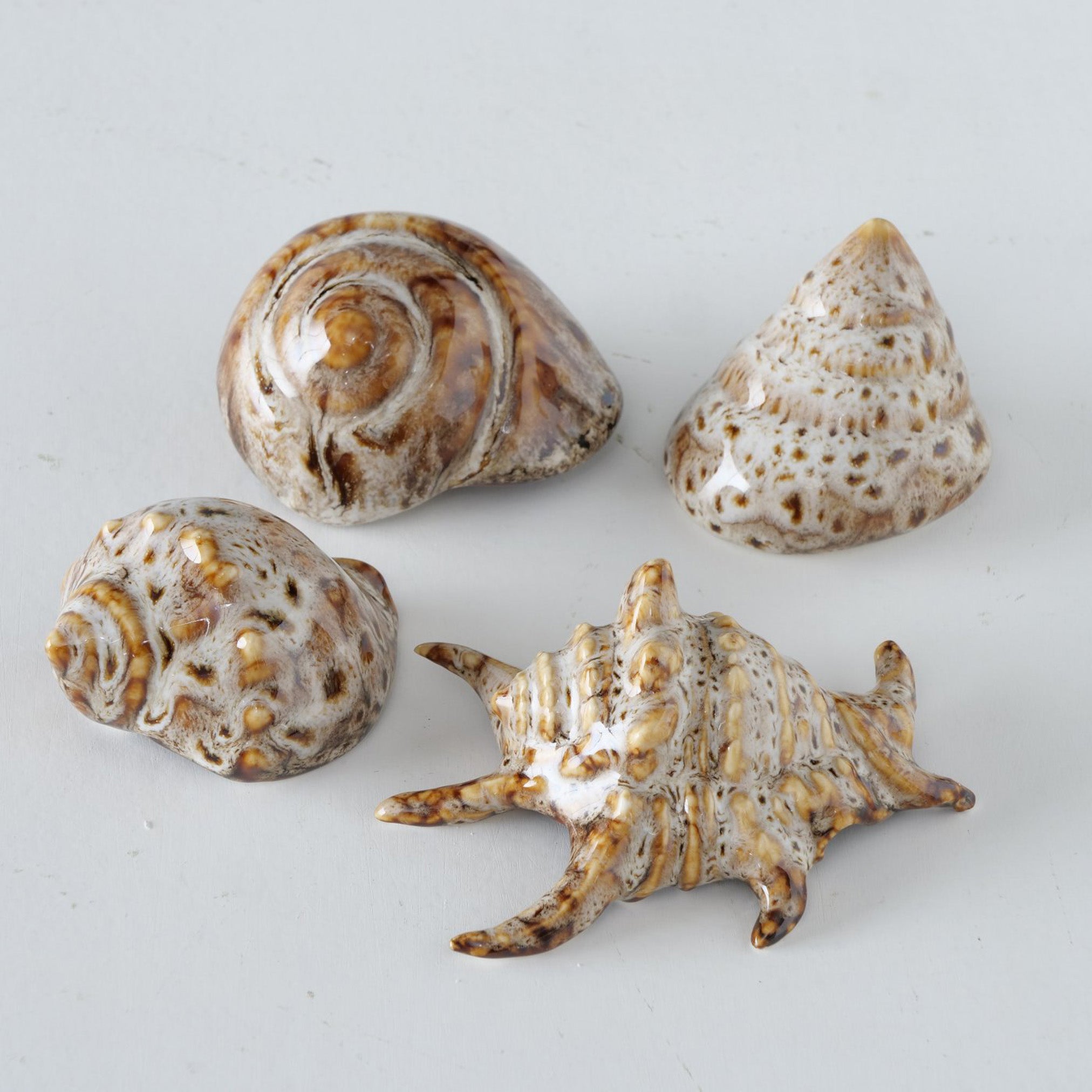 Dekoaufsteller Alyssa – Handgearbeitete Muschel aus Porzellan